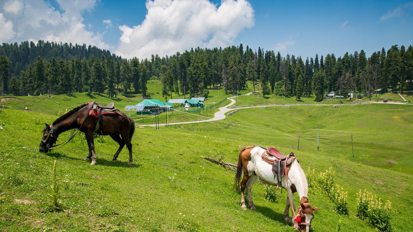 Day 6. Local Sightseeing  of Gulmarg