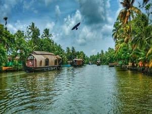 Day-02 Cochin | Alleppey { 54 Kms & 1,1/2 Hrs} 