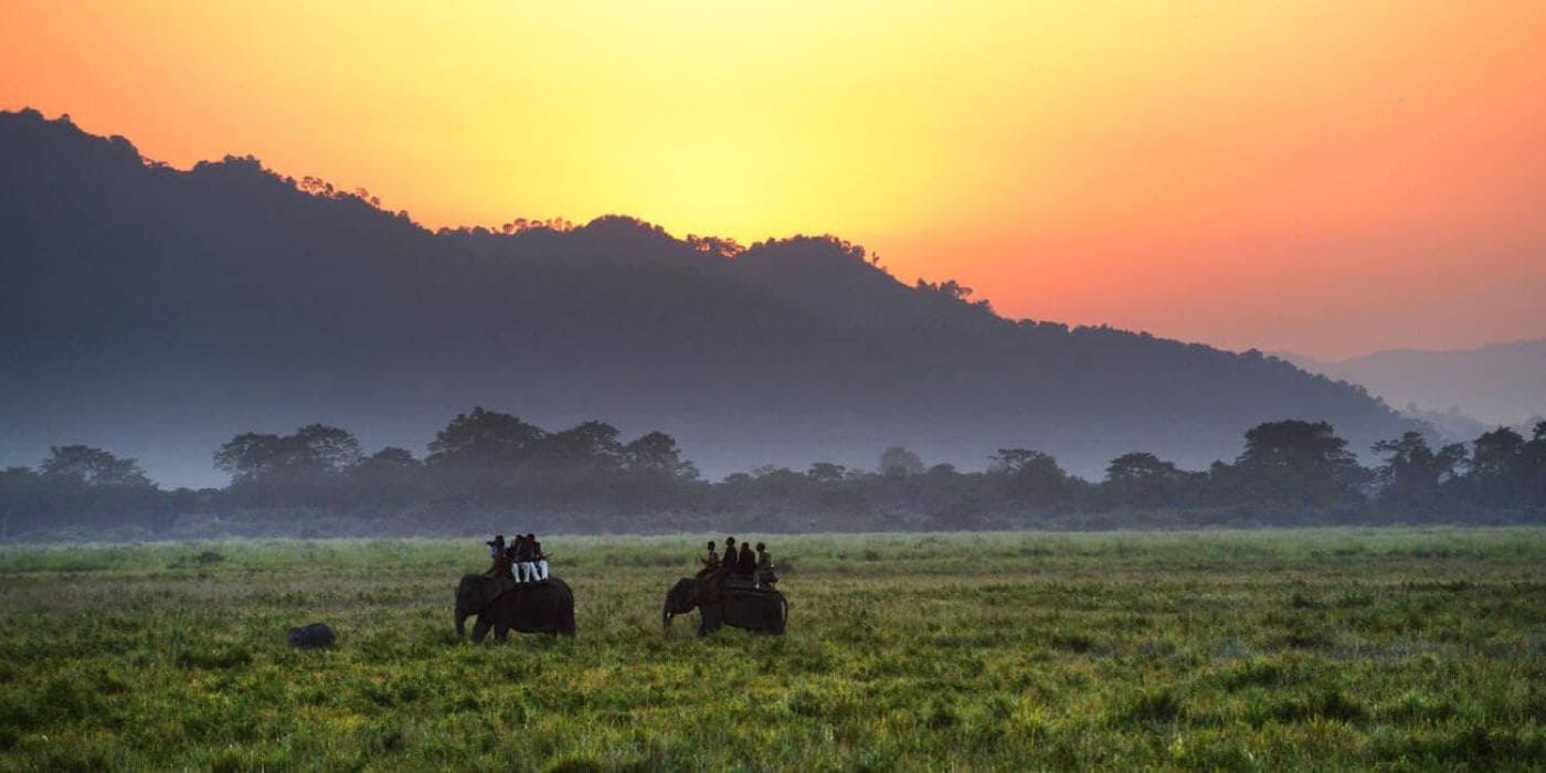  Kaziranga Park 