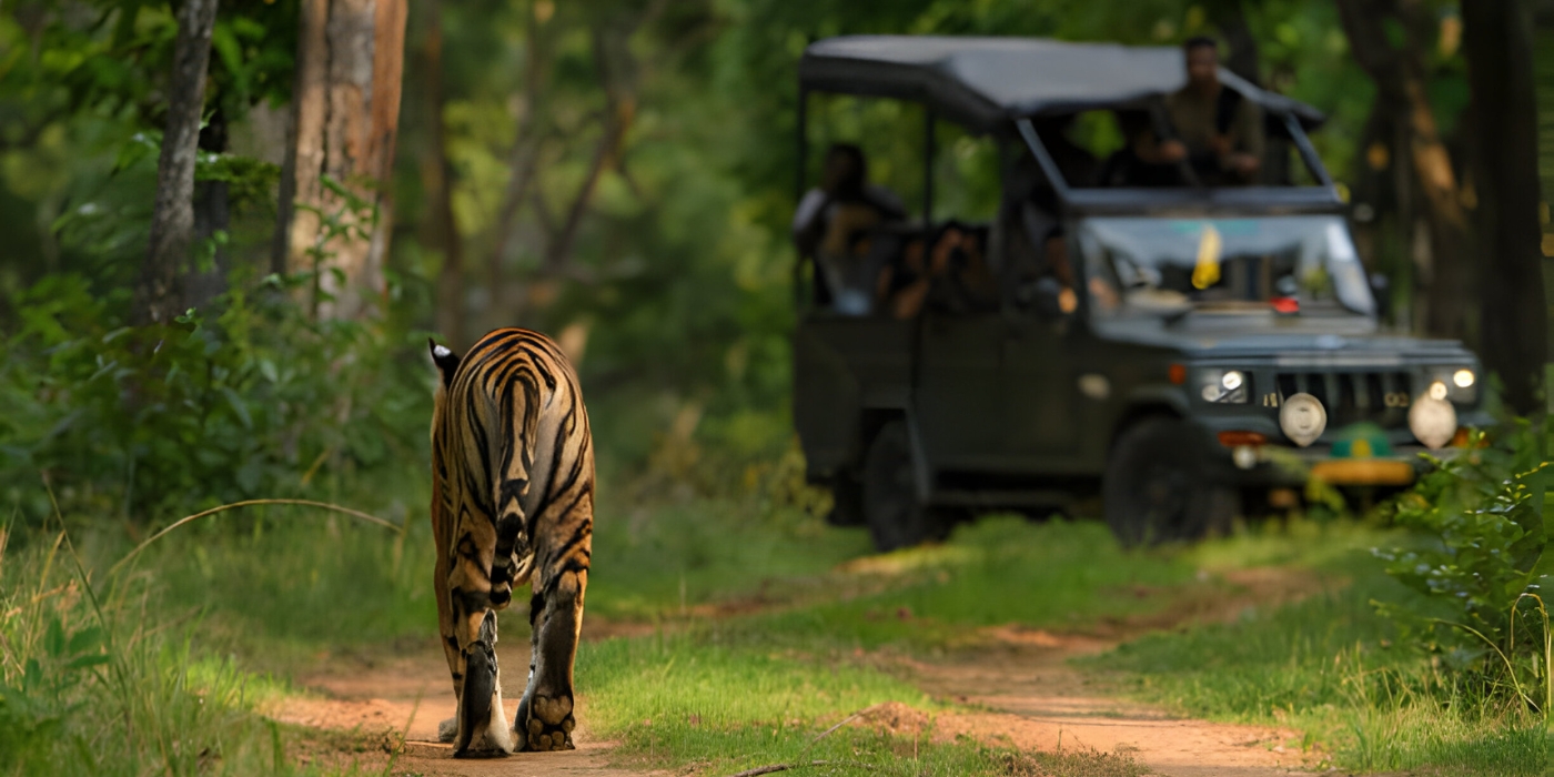 Bandipur Park